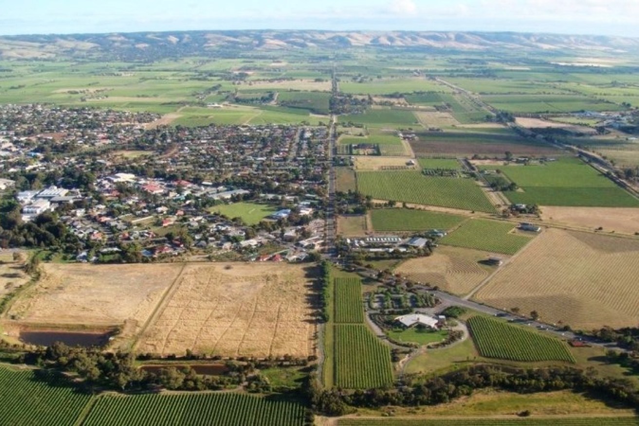 McLaren Vale within the City of Onkaparinga. Around 73 per cent of the council area is covered by the state government's McLaren Vale Character Preservation District, which prohibits urban development from encroaching on agricultural production and character areas. Photo: supplied