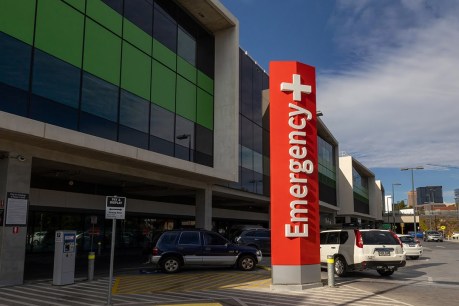 SA Health appeal to avoid hospital EDs unless urgent after computer crash