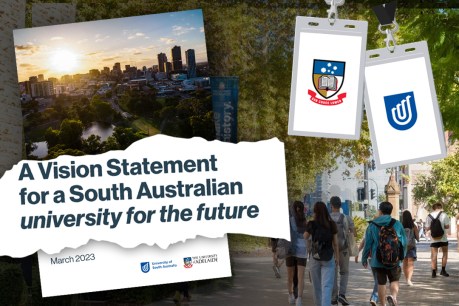 Blurred vision obscures uni merger big picture
