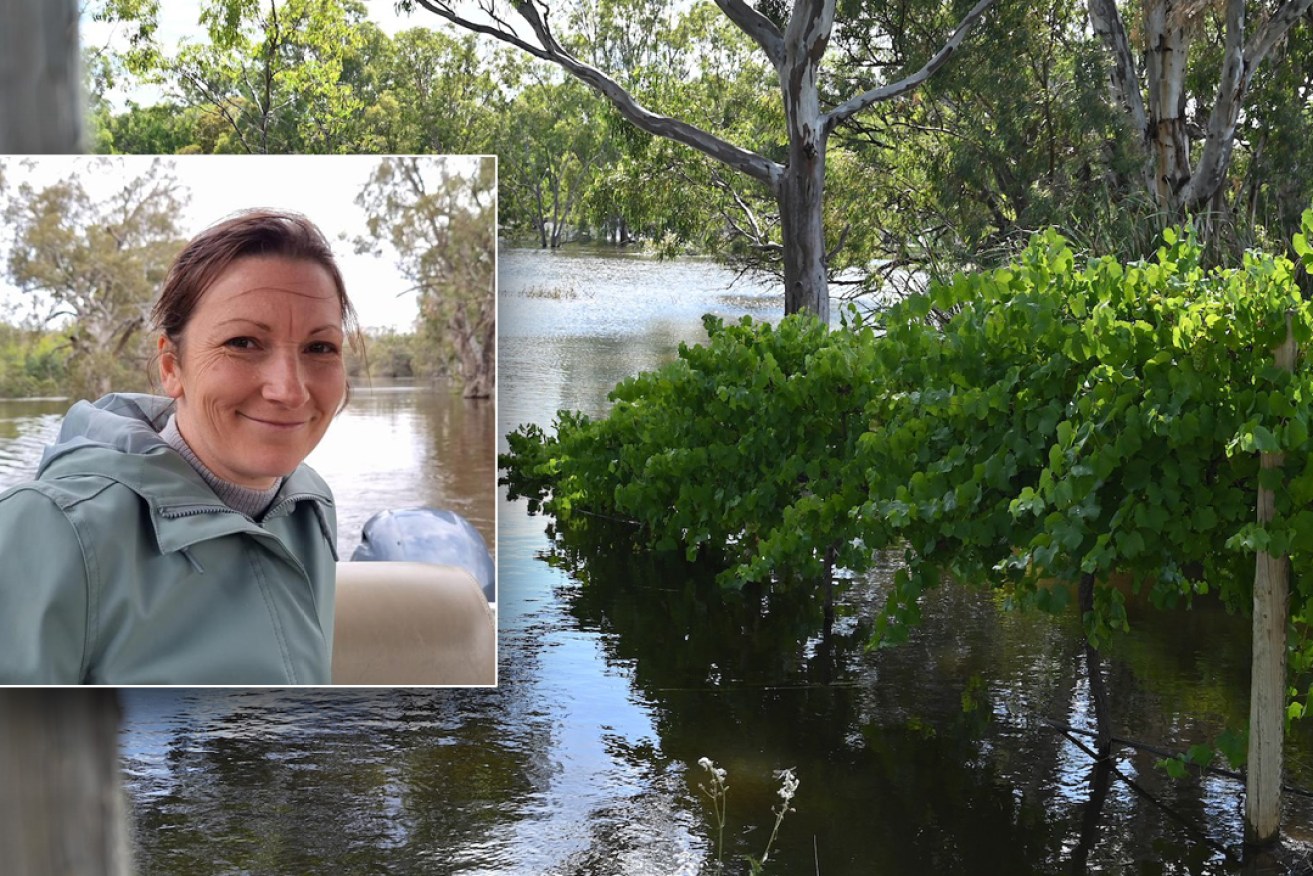 Opposition River Murray spokesperson Nicola Centofanti is calling for an urgent review on the release of business support funds for River Murray flood regions.