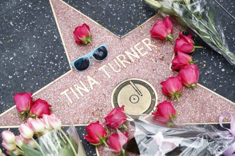 Music world mourns Tina Turner