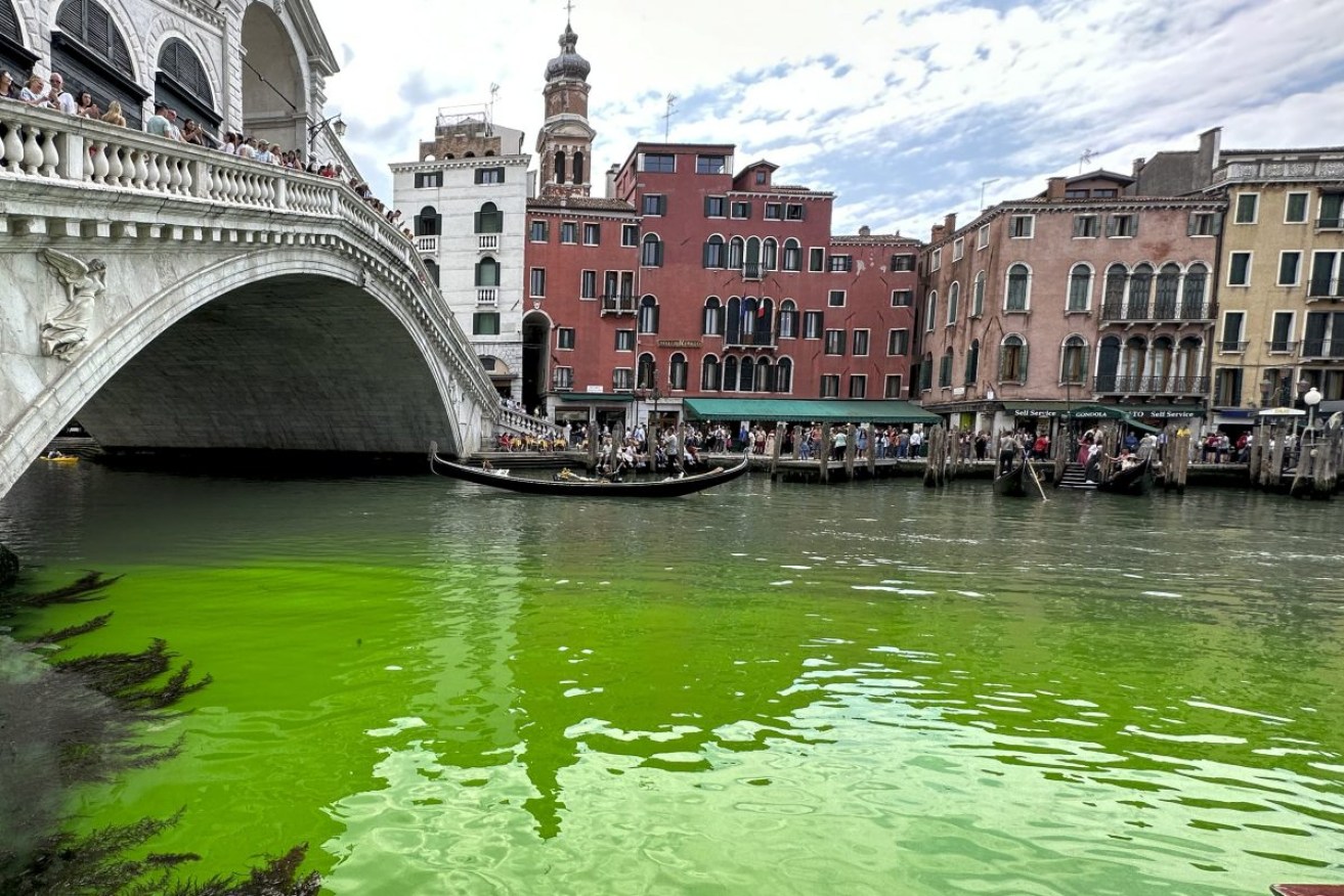 Venice's Grand Canal waters are phosphorescent green. Photoi: AP/Luigi Costantini