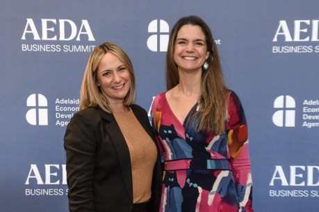 AEDA Business Summit