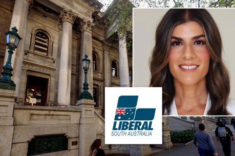 Lib preselection frontrunner ridicules ‘niche culture wars’