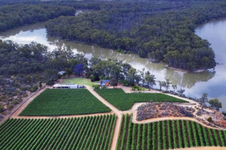 Industry giant offers up ‘solution’ to Riverland red wine glut