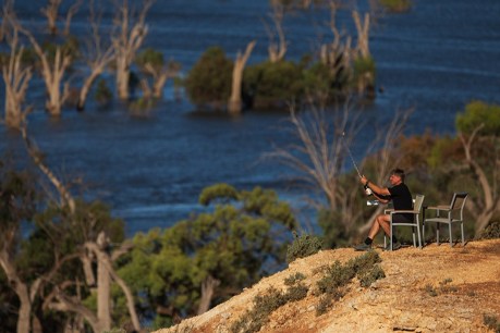 Riverland Wine photo exhibition highlights the region’s resilience