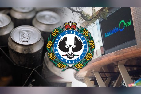 Senior cop faces probe over Adelaide Oval beer can call