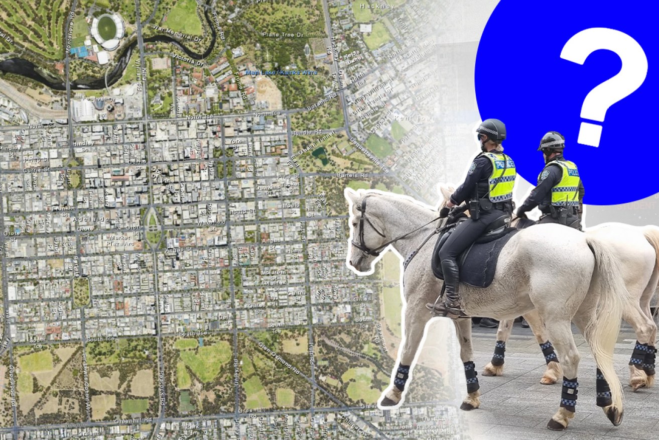 Mystery still surrounds where the state government will build a new police horse barracks. Image: Jayde Vandborg/InDaily