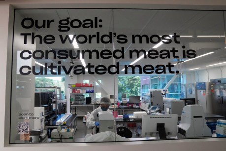 Lab-grown meat about to hit US plates