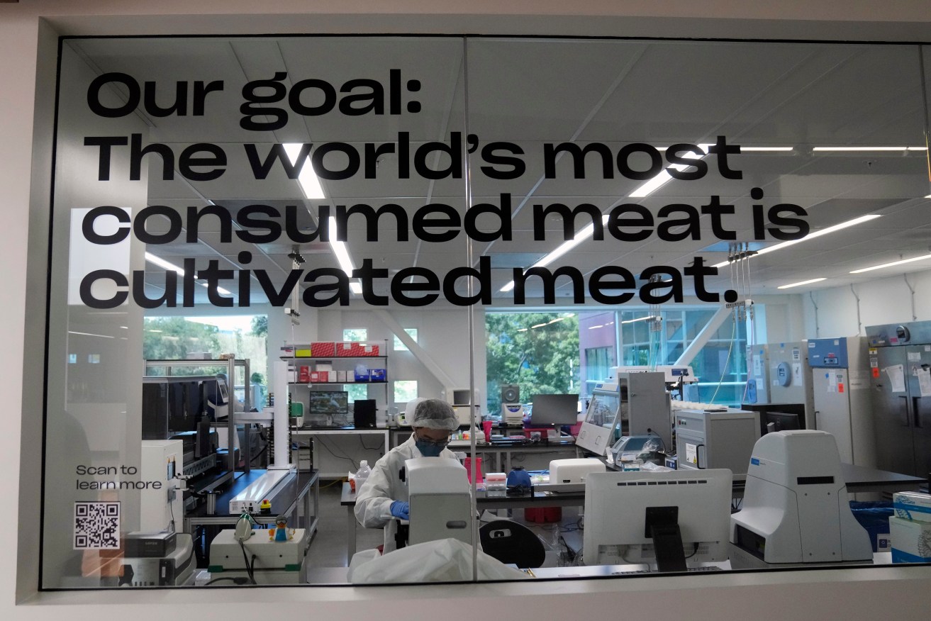 A scientist works in a cellular agriculture lab in California to produce “cultivated” meat. Photo: AP/Jeff Chiu