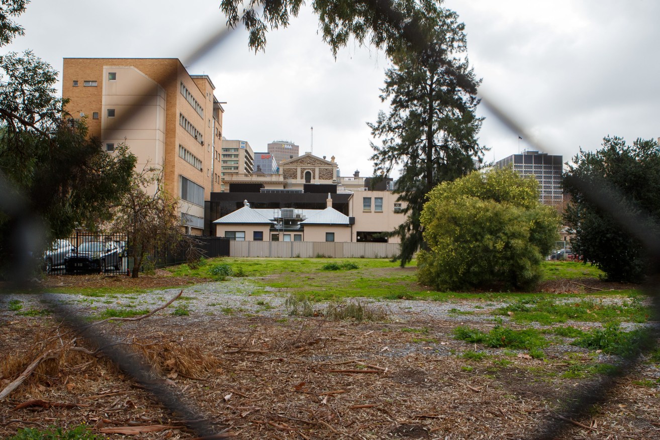 The proposed police horse "staging post" site at the corner of Wright Street and King William Street. Photo: Matt Turner/InDaily
