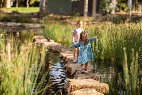Top parks and playgrounds win gongs for SA’s best landscape architects