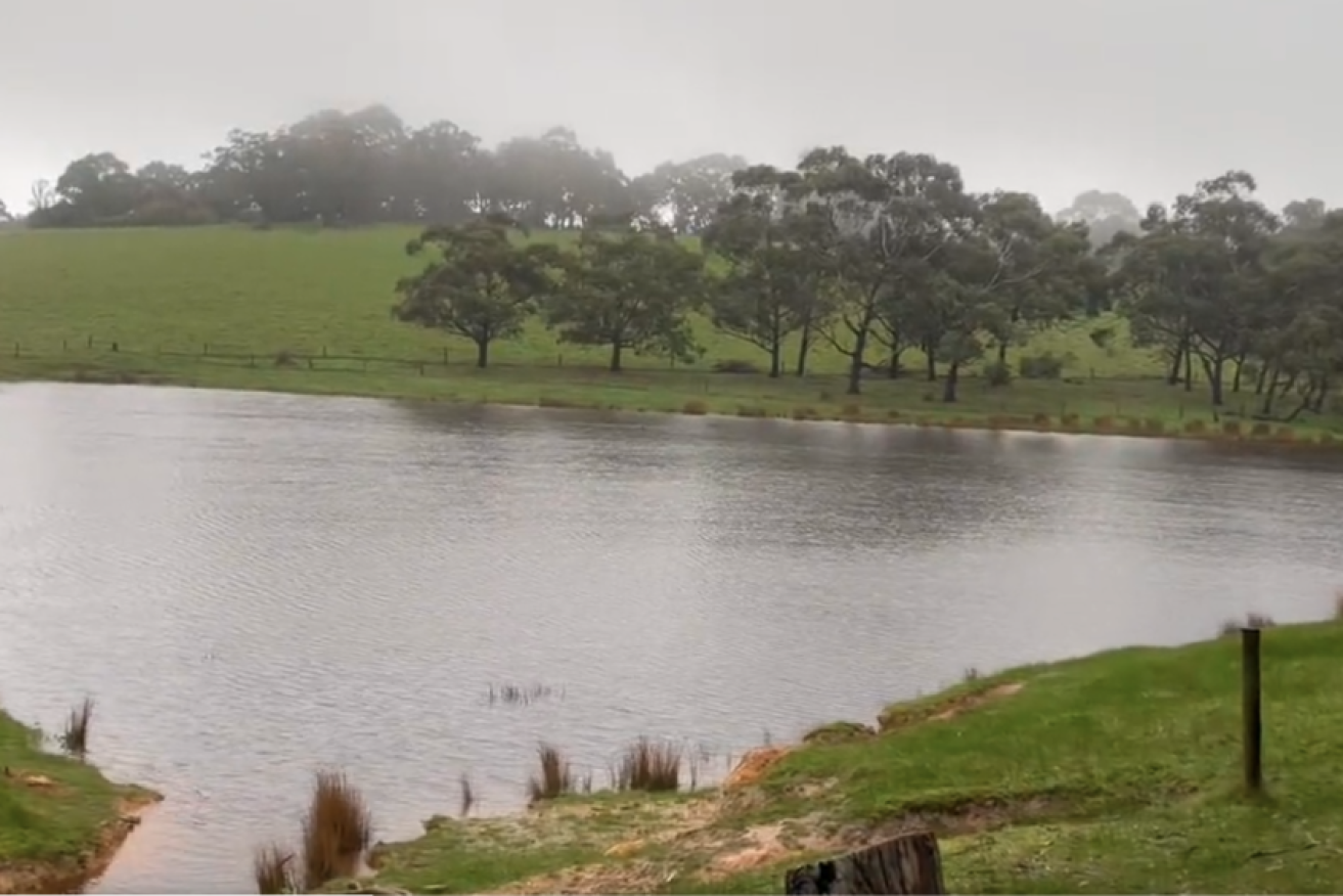 The 'high risk' dam at Hope Forest. Courtesy Ten News First