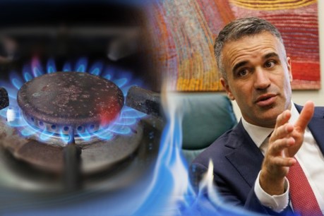 Premier eyes hydrogen fix for home gas connections