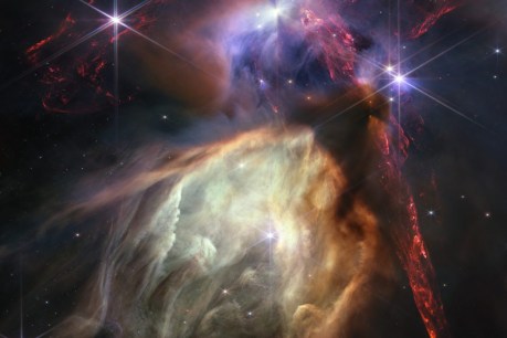 Space telescope captures star-forming nebula