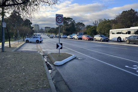 Plea to block Fringe road closure rejected