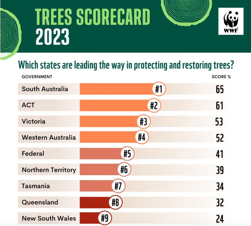 national trees scorecard