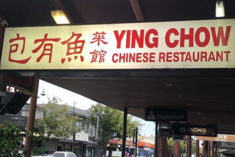 What ever happened to… Ying Chow?
