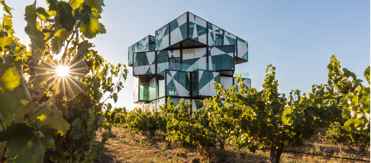 d'Arenberg vineyard business news in South Australia.