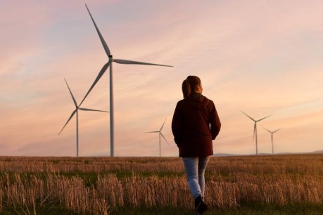 First Nations voices needed to lead the way for clean energy