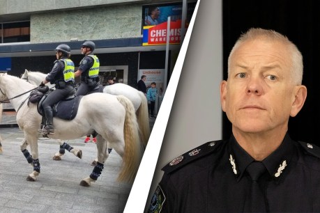 ‘Not optimal’: Commissioner’s frustration over police horse relocation