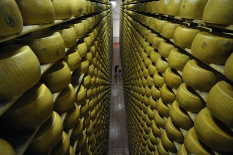 Cheesemaker killed by wheels of cheese