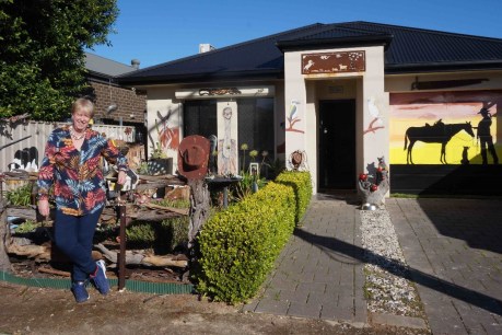 The ‘Aussie house’ brightening Adelaide suburbia