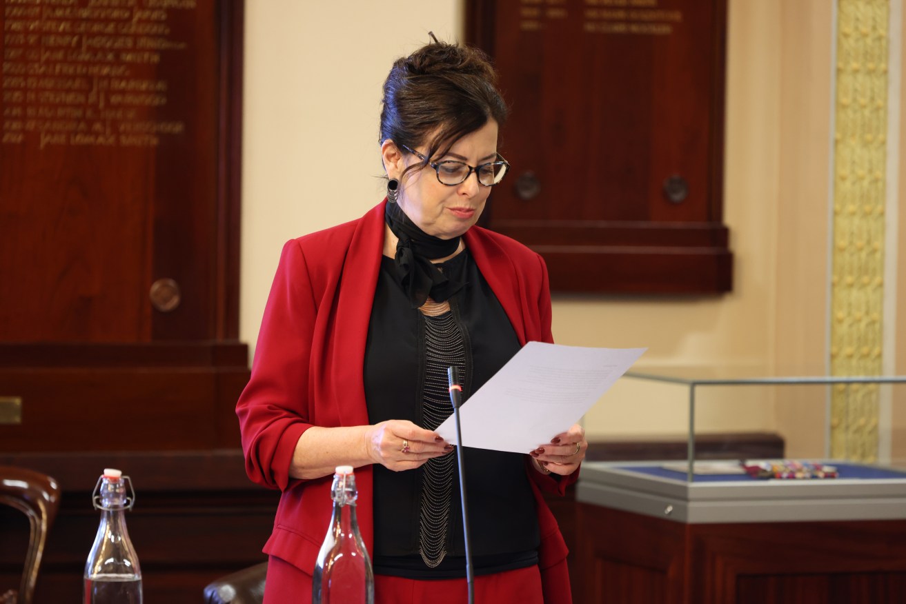 Central Ward councillor Carmel Noon called for more timely notification of city projects with state govenment involvement. Photo: Tony Lewis/InDaily