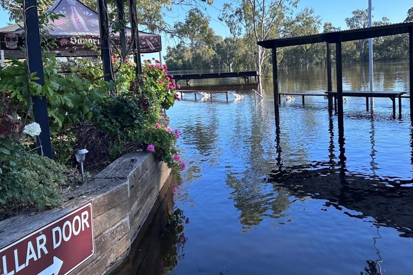 Caudo Vineyard on the River Murray at Cadell was devastated by flooding. Photo: Facebook