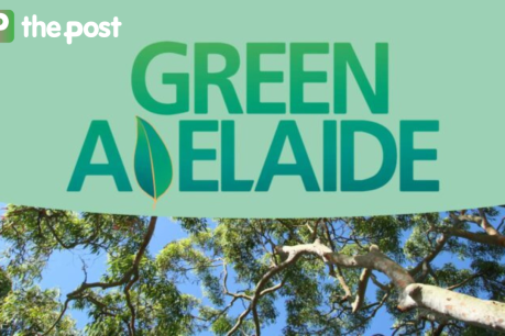 More than $1 million awarded to cool and green Adelaide