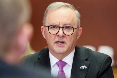 Albanese hails deal with states to ‘get housing moving’