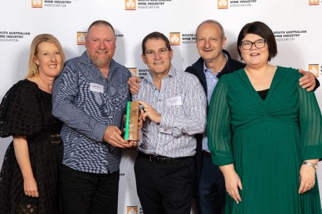 SA wine industry toasts successes at awards