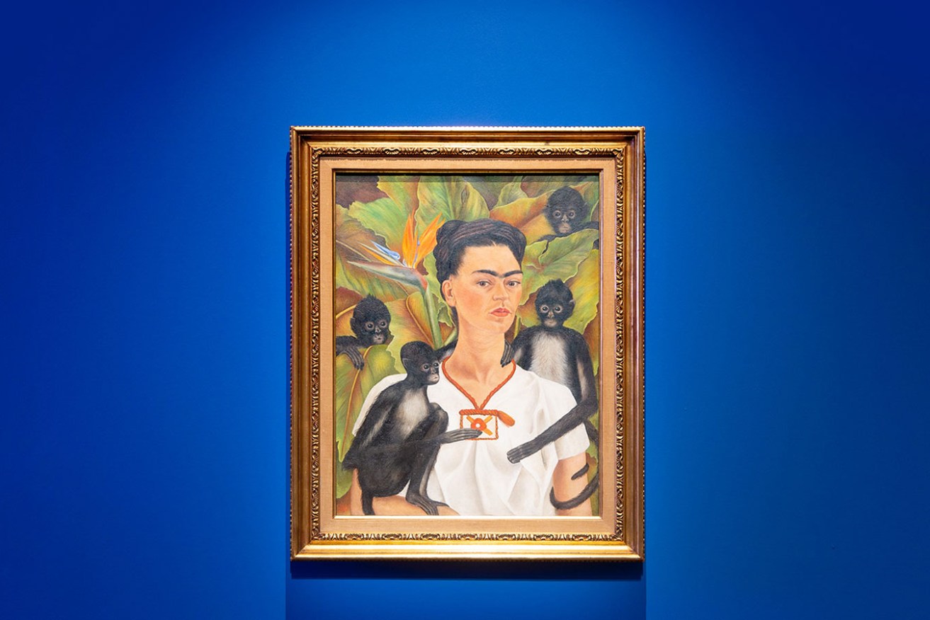 Installation view: 'Frida & Diego: Love & Revolution', featuring Frida Kahlo’s 'Self-portrait with monkeys'; Art Gallery of South Australia. Photo: Saul Steed / supplied