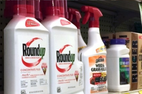 Roundup cancer class action kicks off in court