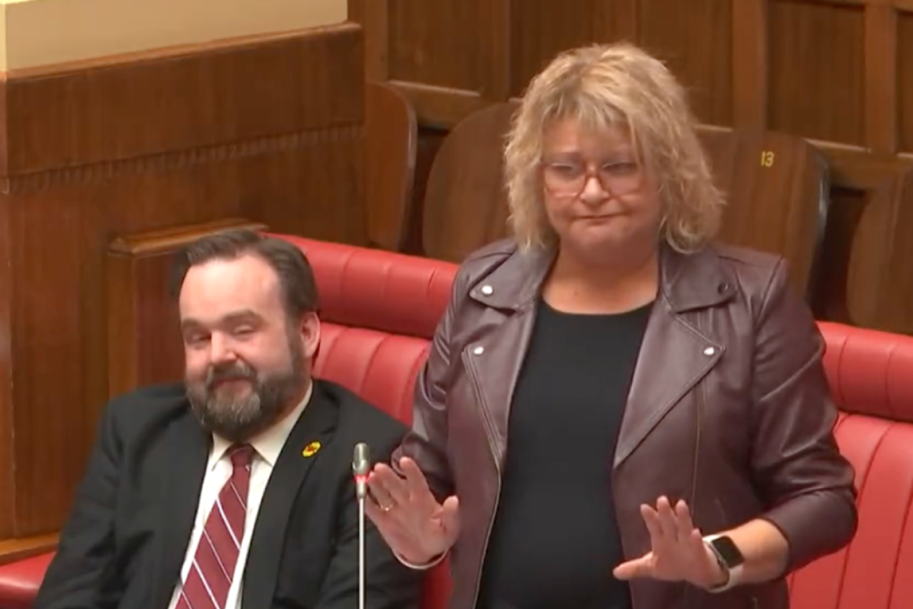 Irene Pnevmatikos speaking during her final speech in the Upper House on Thursday. Photo: parliament livestream