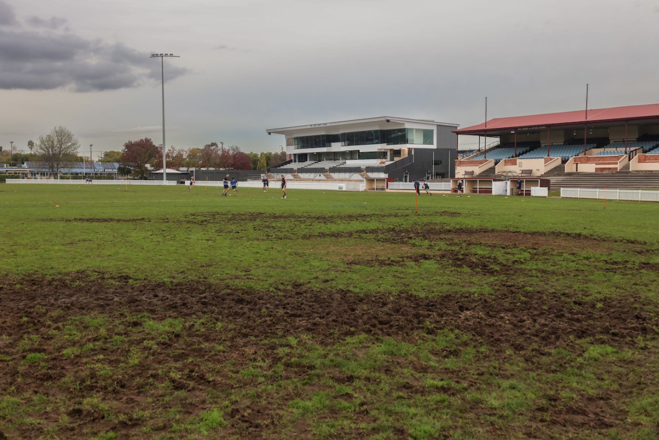 Unley Oval's grass is set to be ripped up and replaced. Photo: Tony Lewis/InDaily