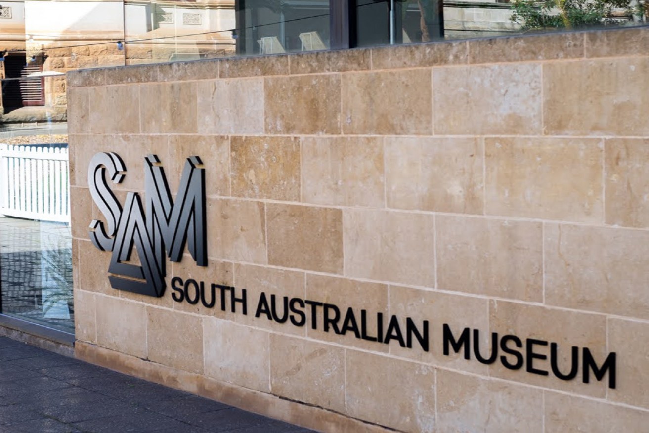 SA Museum plans to shake-up it research program has prompted warnings from academics and a former director. Photo: Liam Jenkins/InDaily