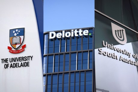 Should Deloitte be involved in the SA university merger? Experts have their say