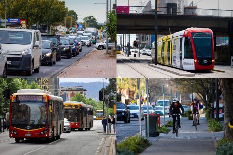 Adelaide’s public transport problems under microscope
