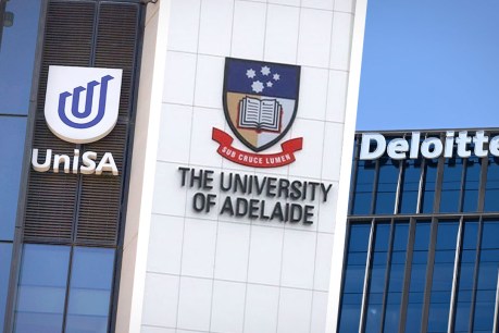 Conflict concerns after Deloitte awarded uni merger contract