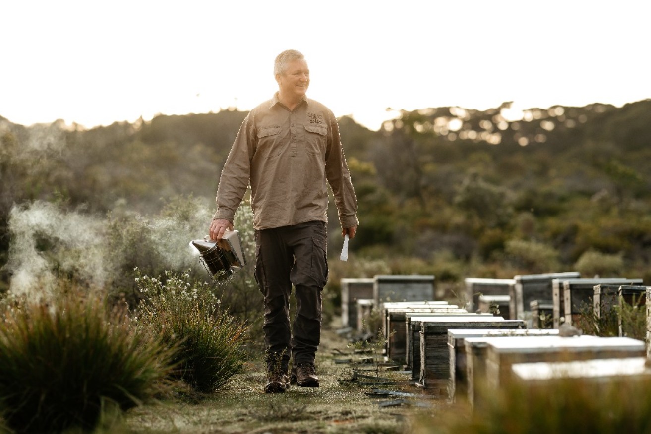 Brenton Davis, beekeeper and director of The Kangaroo Island Ligurian Bee Co. Photo: Janey Fowler at Koa Photography.