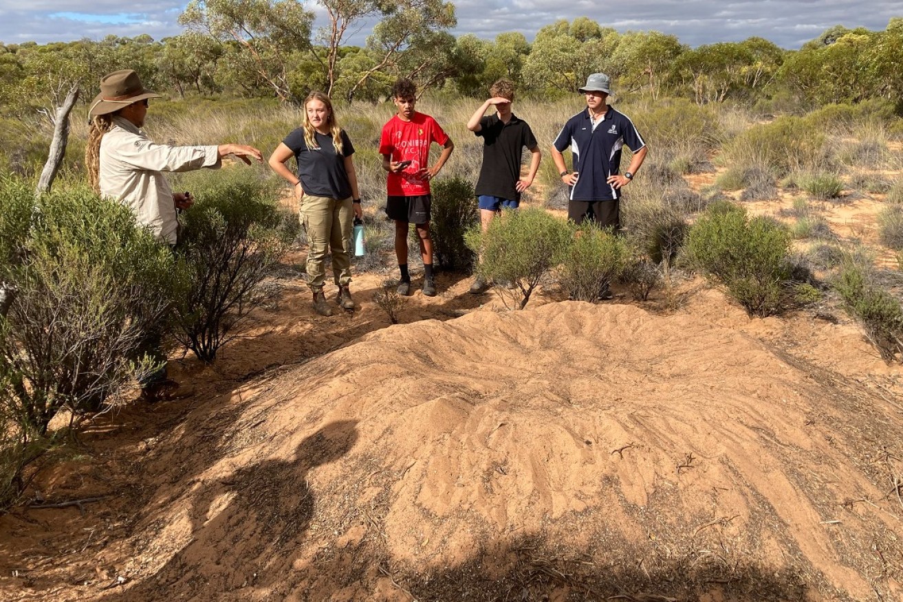 AWLB Ecologist Brett Backhouse talks about mallee fowl with a group of Year 12 students on a field trip. Photo supplied.