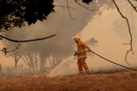 SA prepares for ‘very substantial’ summer bushfire risk