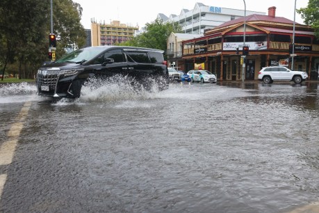 Adelaide mops up after storm deluge