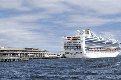 Viral outbreaks aboard cruise ship in Adelaide ‘declared over’