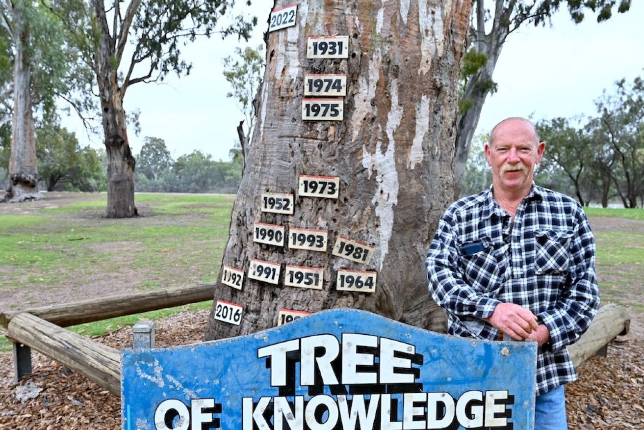 Mining worker Peter Munday visits the Loxton "Tree of Knowledge" with its new sign recording the 2022 River Murray flood. Photo: Belinda Willis/InDaily
