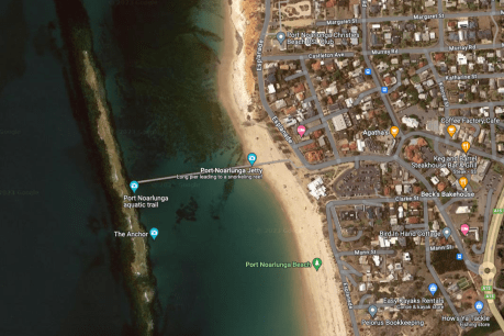 Shark attacks woman at Port Noarlunga