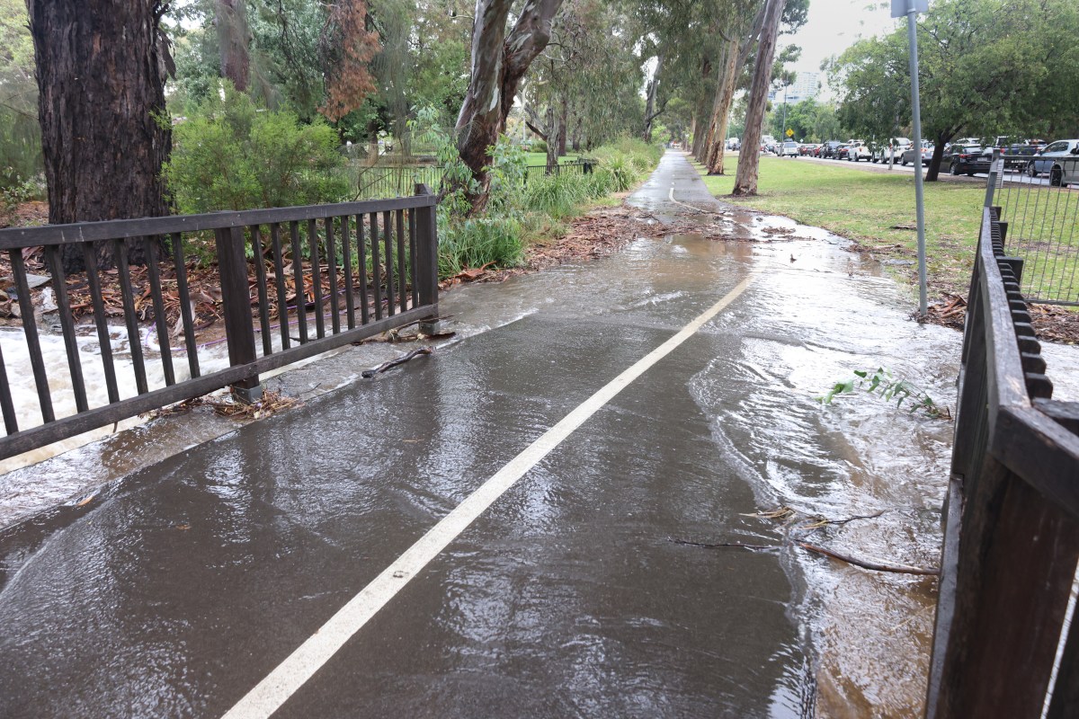 Adelaide flooding