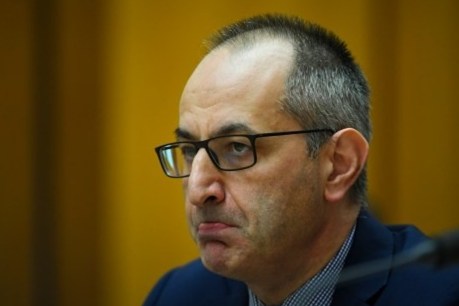 Home Affairs boss sacked over leaked texts