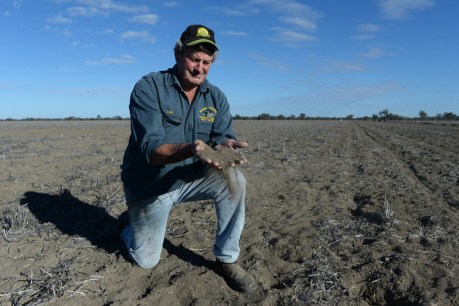 Digging in to improve Australia’s poor soil health